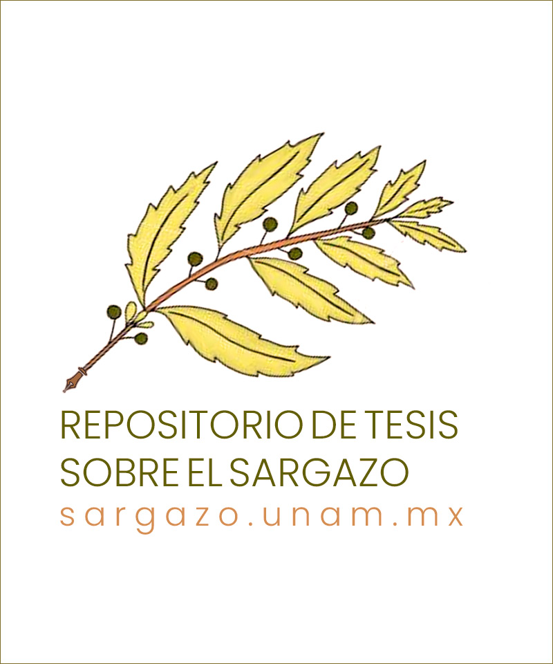 Buscador de tesis sobre el sargazo